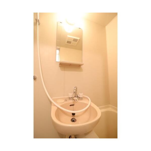 エステートピアライフ206号室 洗面