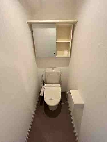 ダイアパレス立石 トイレ（内装後）