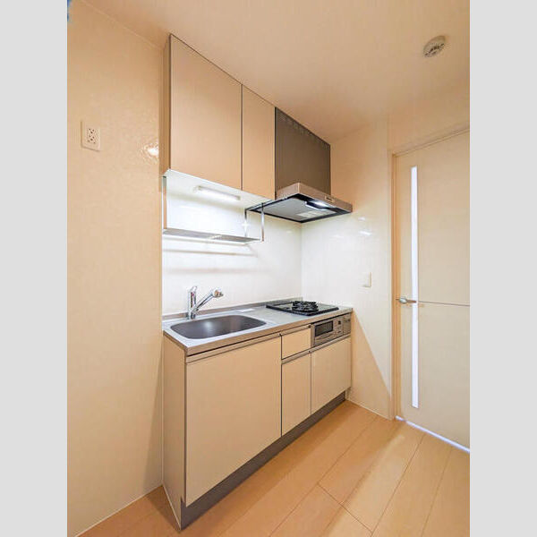 イルソーレ吉川美南　ブル206号室 システムキッチン