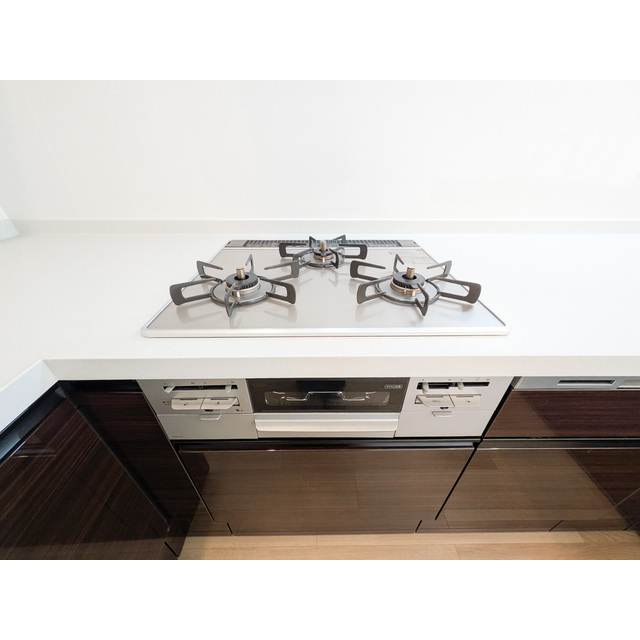 オーパスホームズ白山0502号室 コンロ