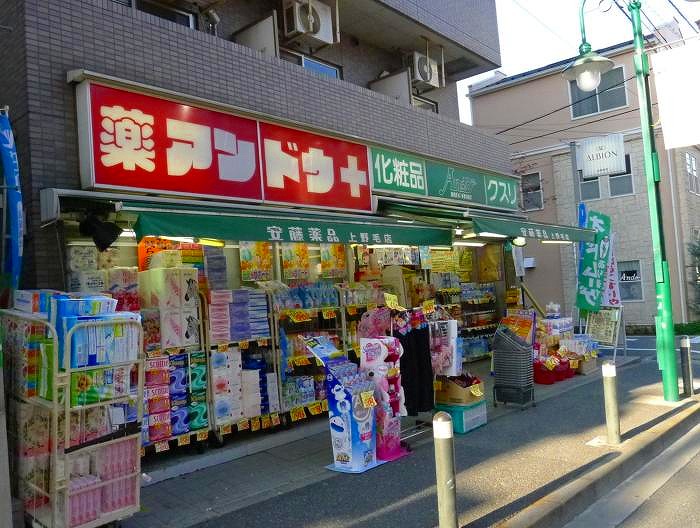 ステージグランデ世田谷上野毛アジールコート4階 安藤薬品上野毛店