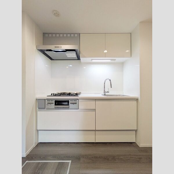 D-アリビオ101号室 キッチン