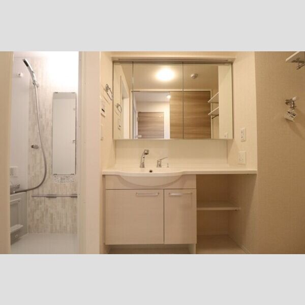 D-room Flower307号室 洗髪洗面化粧台