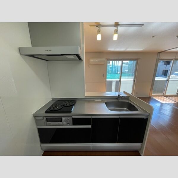 ピュアロータス　Ⅱ システムキッチン