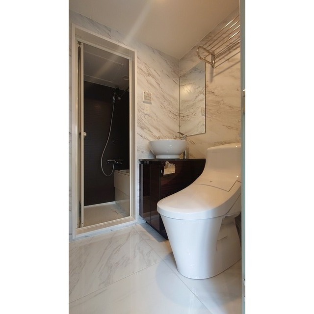 アムス早稲田（旧La Blancheur 早稲田）0403号室 脱衣所