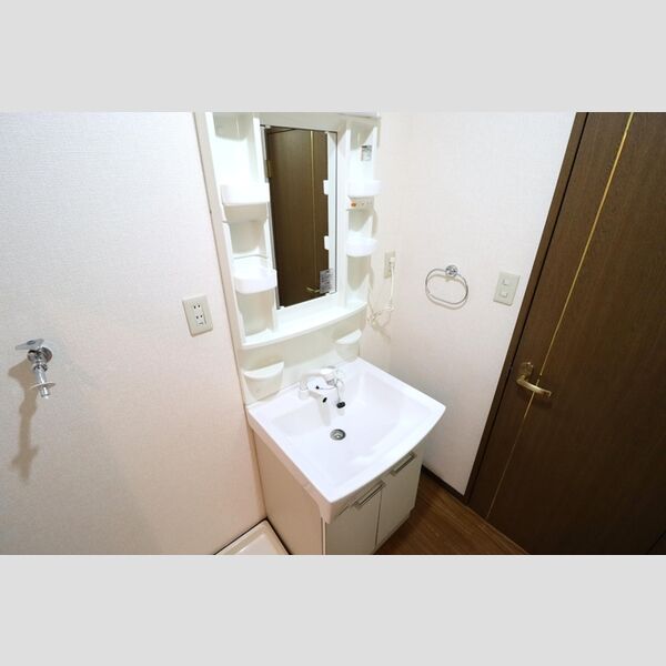 エステートM101号室 洗面台