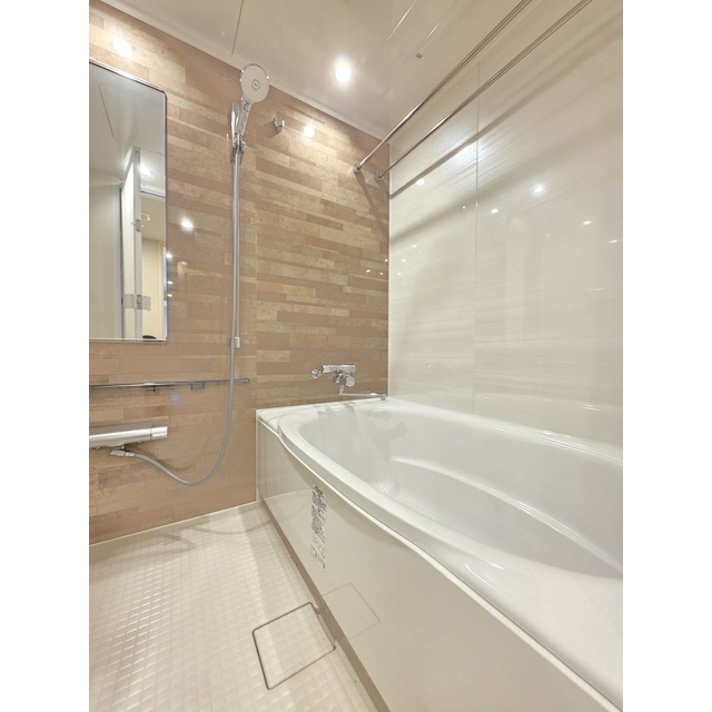 パークハウス多摩川南参番館 2026年2月撮影