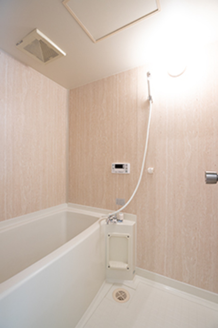 コーポカンザ本牧201号室 同建物別部屋の参考画像