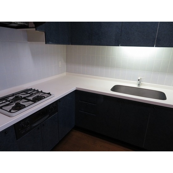 センチュリー横浜・関内1106号室 内観