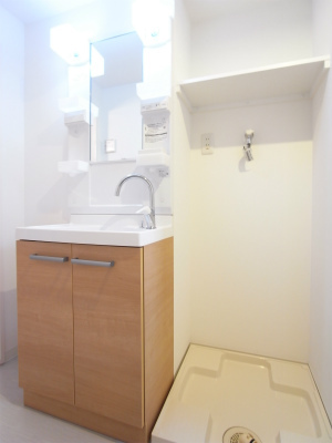 キャッスル廣瀬若林 洗面