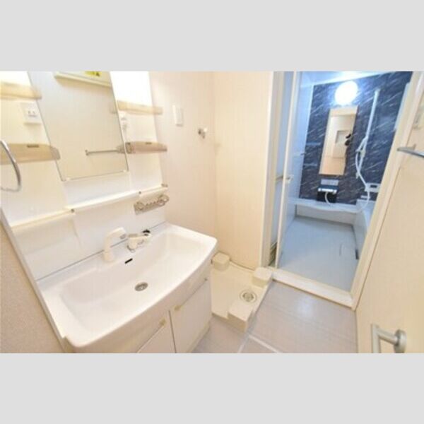 ザ・パーシモン　B201号室 洗面室