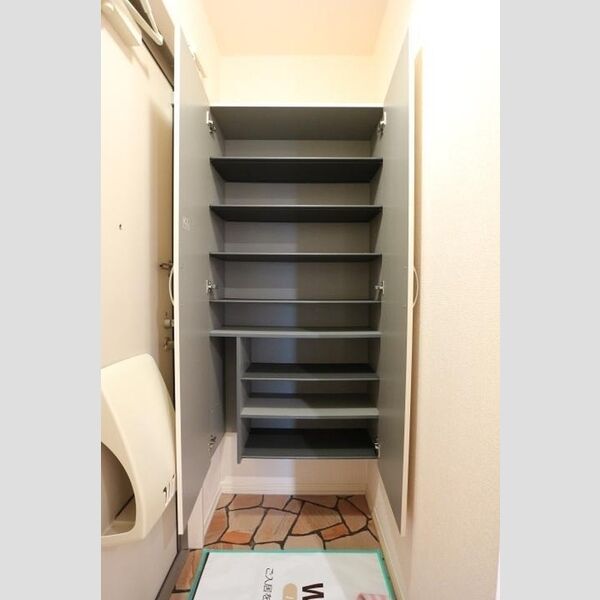 マリン　クオーツ シューズボックス