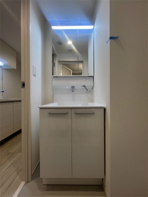 リブリ・蒲田 洗面