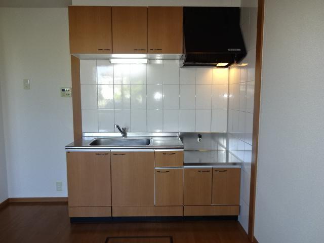 エルンテ・オーシモ201号室 キッチン