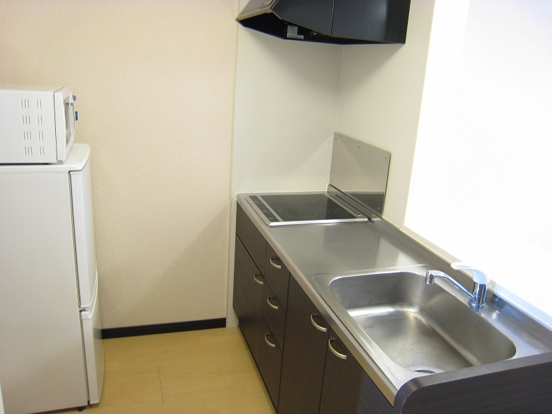 レオネクストウォーターリリー IHコンロ。収納しっかりあります。