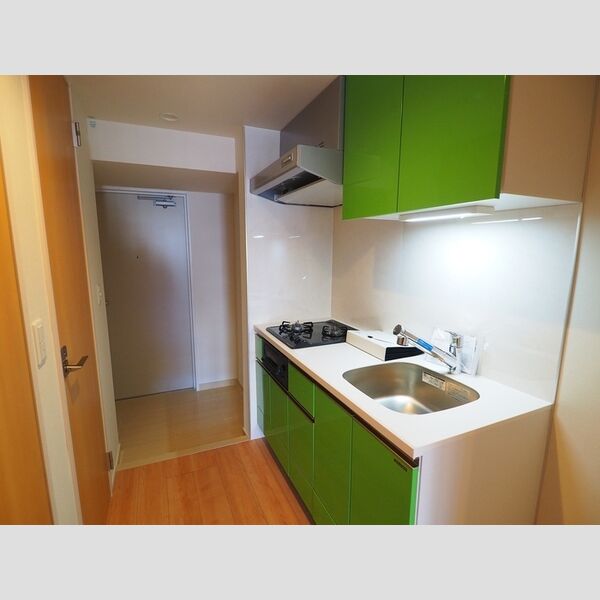 ロイジェントパークス千葉中央0702号室 玄関