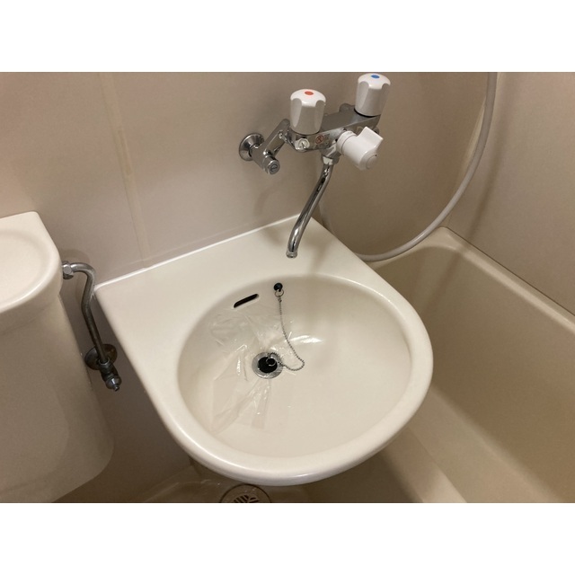 アマリリス 内観