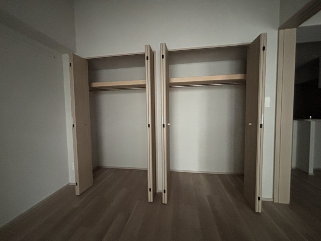 グランディアラフィーネ905号室 収納