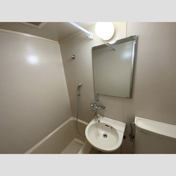 ハイツ神大寺205号室 洗面所