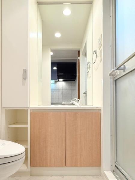 エコロジー白山レジデンス5階 洗面