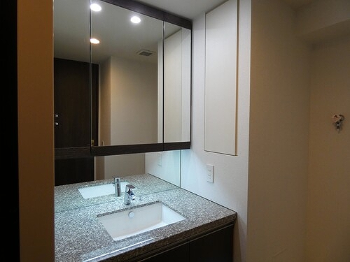 ルフォンリブレ浜松町　キャナルマークス 洗面所