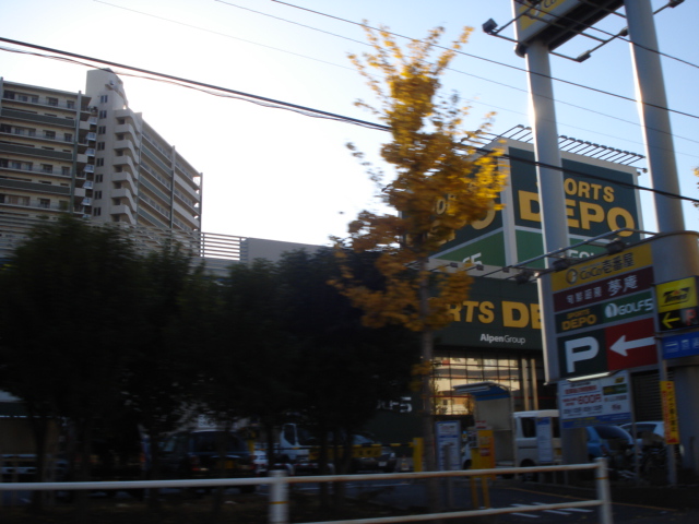 Ｒｏｏｆｅｒ スポーツデポ川崎店まで1,647ｍ