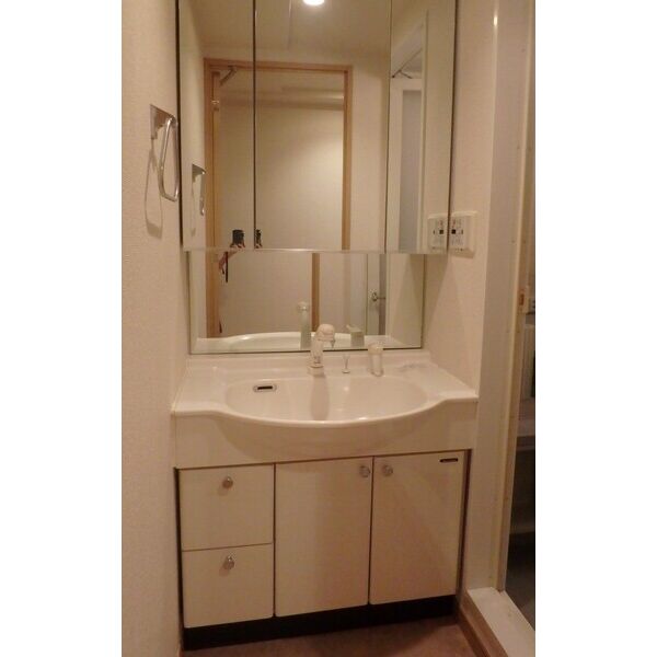 パレステュディオ新宿パークサイド525号室 洗面