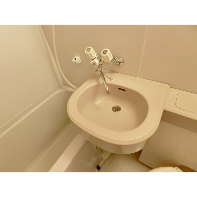 エクレール砧303号室 洗面