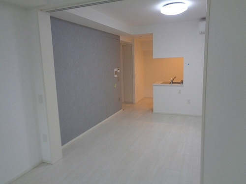 ＲＥＦＲＡＭＥ ５ Ｉｒｉｙａ7階 DK