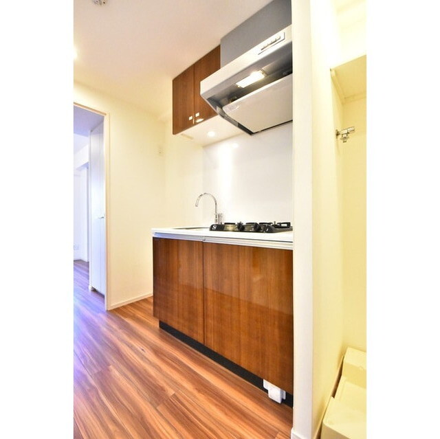 ハーモニーレジデンス武蔵小杉0227号室 内観