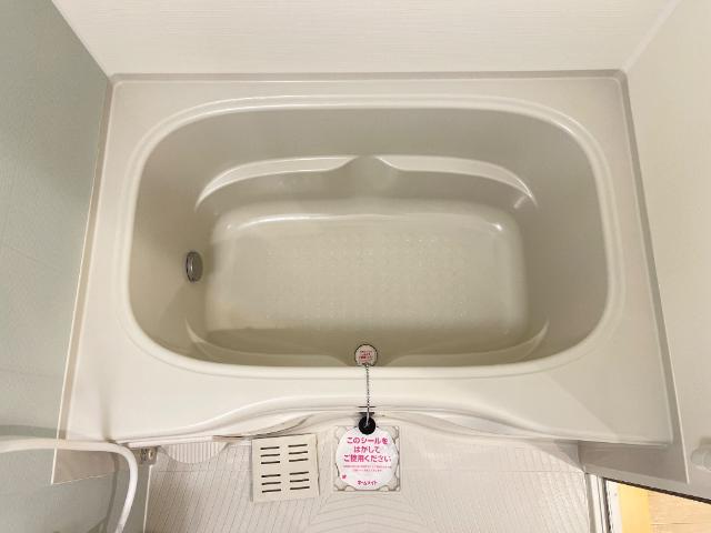 ワン・ヒル・ライブ バス