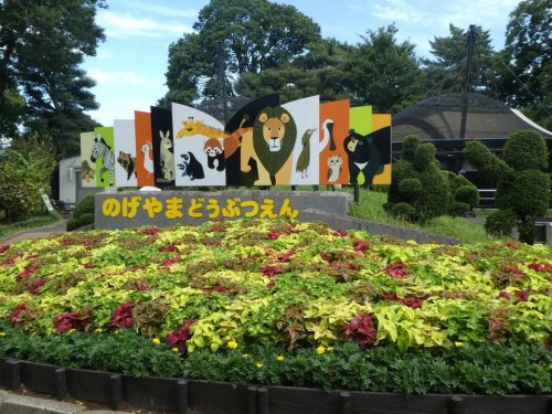 コンシェリアＲ 横濱桜木町9階 【動物園】野毛山動物園まで907ｍ