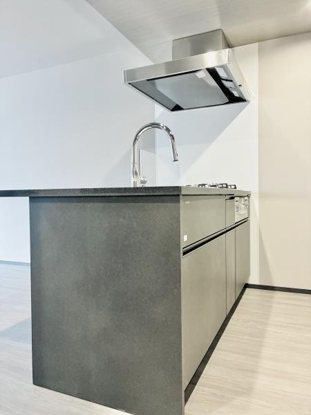 コンポジット早稲田鶴巻町5階 キッチン