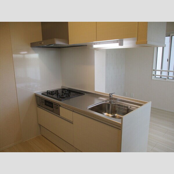 パークサイド新検見 キッチン