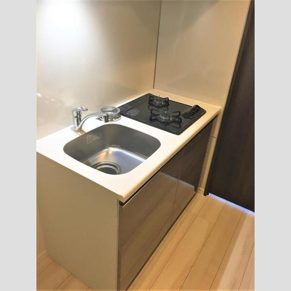 S-RESIDENCE雑司が谷601号室 玄関