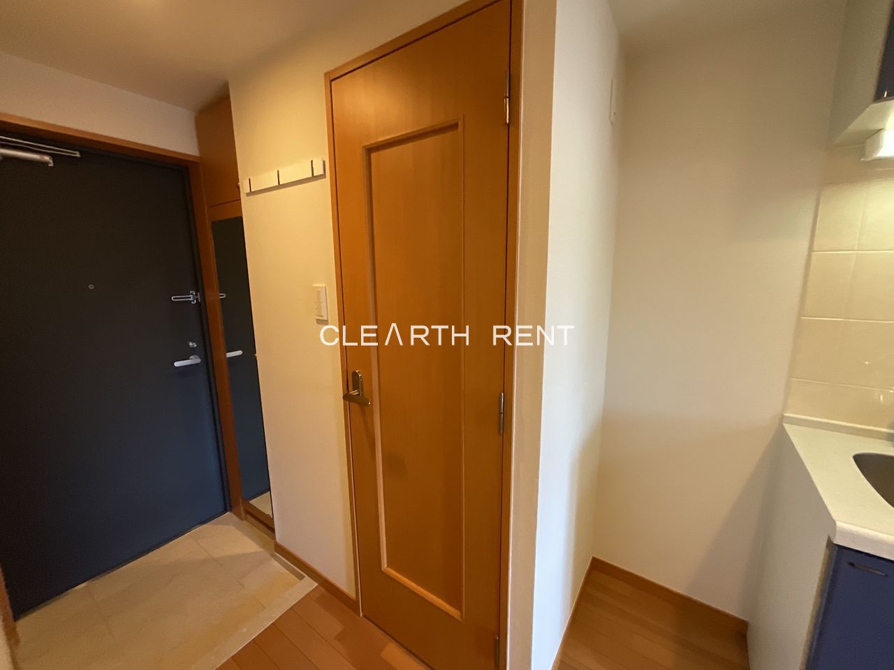 パレステュディオ文京南6階 天然石を施した玄関床/全身姿見ミラー