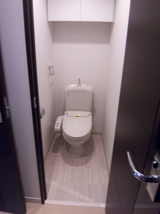 グラントゥルース目黒花房山401号室 トイレ