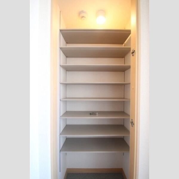 ホジョウレジデンス203号室 シューズボックス