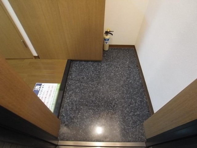 ロアール御茶ノ水妻恋坂 玄関