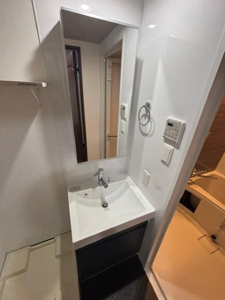 Ｔｈｅ　Ｓｈｉｎａｇａｗａ　Ｅａｓｔ　Ｒｅｓｉｄｅｎｃｅ2階 洗面