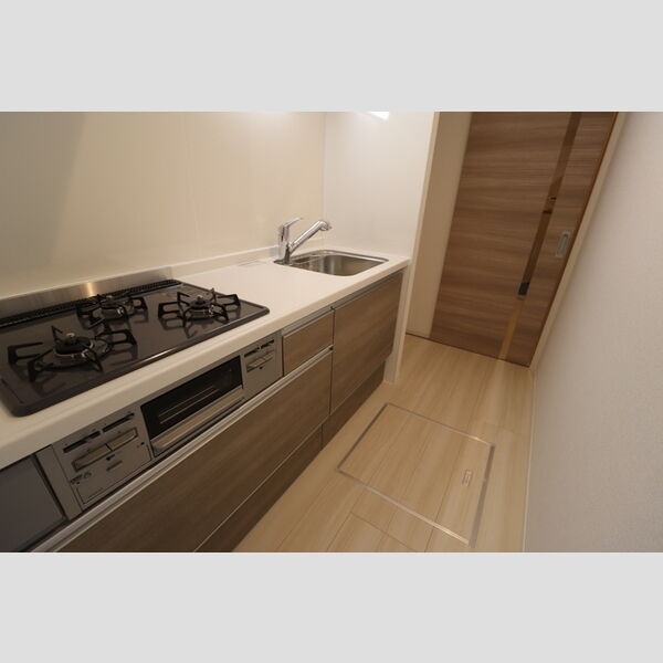 D-RESIDENCE飯能103号室 システムキッチン
