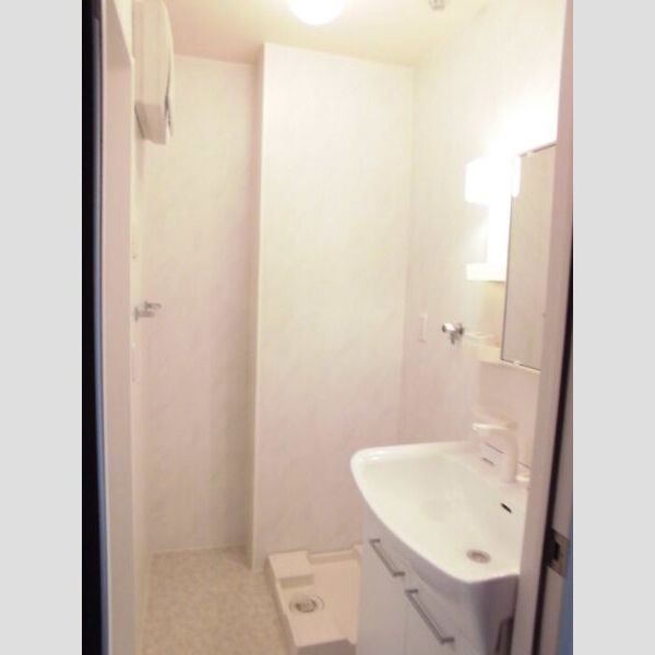 リヴェール星久喜105号室 洗面所