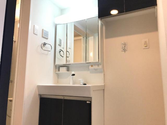 ボス　バレーヒル502号室 洗面（イメージ）