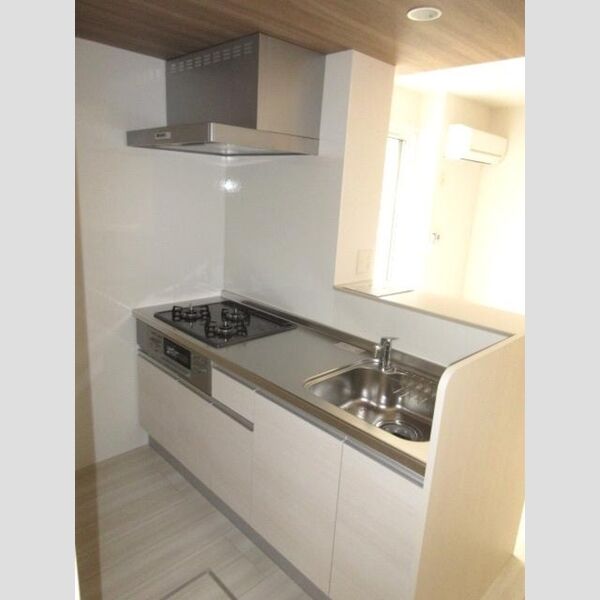 アンジュール氷川台101号室 キッチン流し台