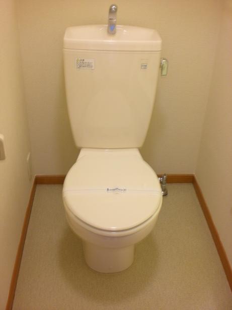 レオパレスオッチモ202号室 部屋その他