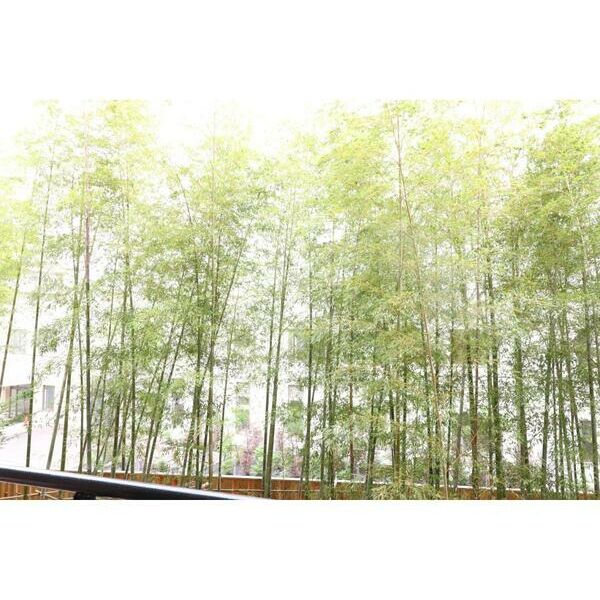 綾東ヴィレッジ弐番館202号室 部屋その他