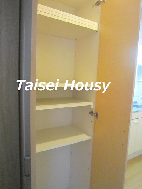 ルミエール湘南0302号室 玄関収納