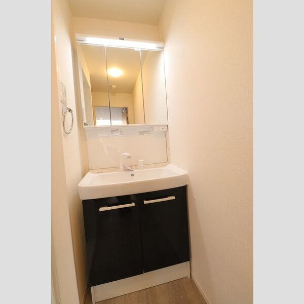 D-Style氷川台205号室 洗髪洗面化粧台