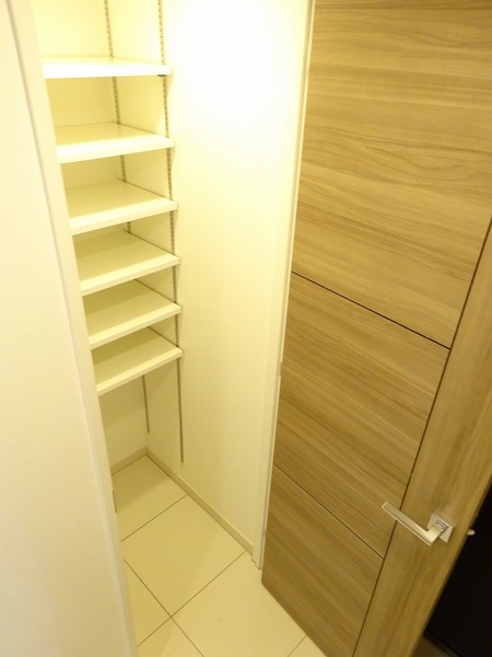 リヴシティ大泉学園108号室 収納