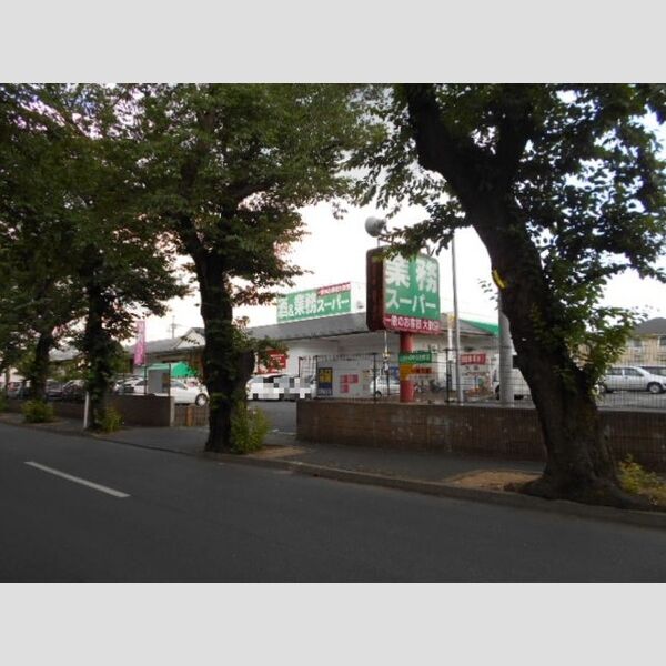 リゾーマ 業務スーパー常盤平店(72m)